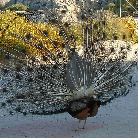Aparthotel Lindos Nest Pefki (Rhodes)